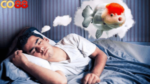 Các loại cá mang ý nghĩa đặc biệt trong giấc mơ và con số dự đoán