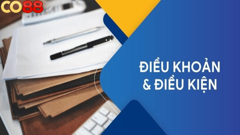 Tổng hợp điều khoản và điều kiện cần thiết khi tham gia CO88 Tổng hợp điều khoản và điều kiện cần thiết khi tham gia CO88