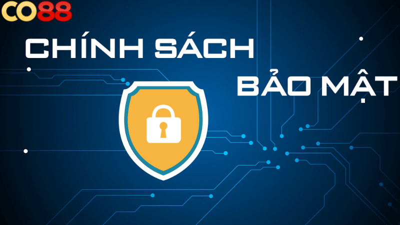 Chính sách bảo mật CO88 Chính sách bảo mật CO88