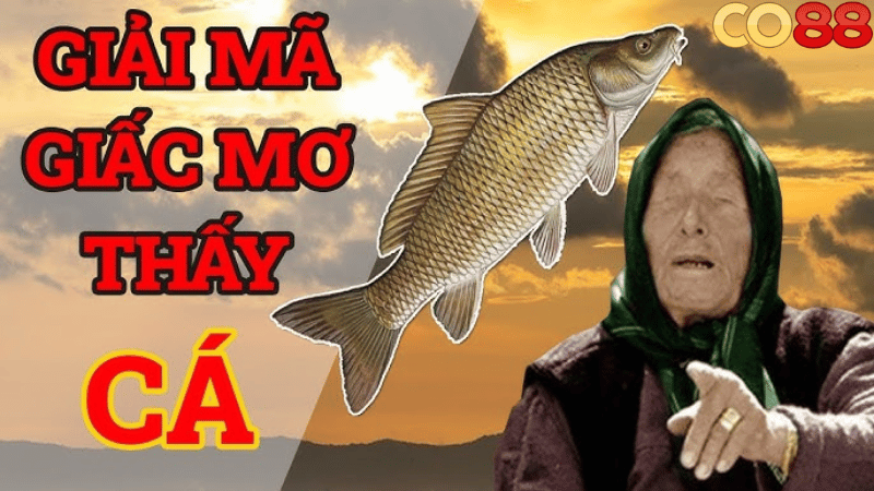 FAQ - Những câu hỏi thường gặp về mơ thấy cá và đánh con gì FAQ - Những câu hỏi thường gặp về mơ thấy cá và đánh con gì
