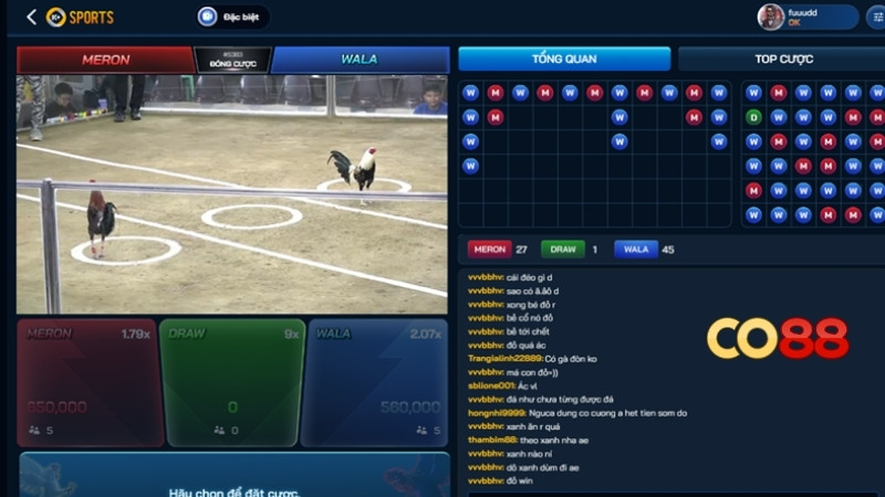 Thủ thuật chơi đá gà luôn thắng