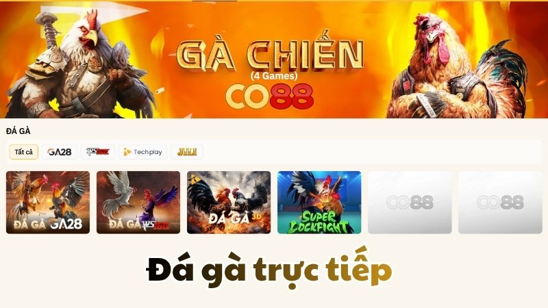 Tổng quan sân cược đá gà CO88